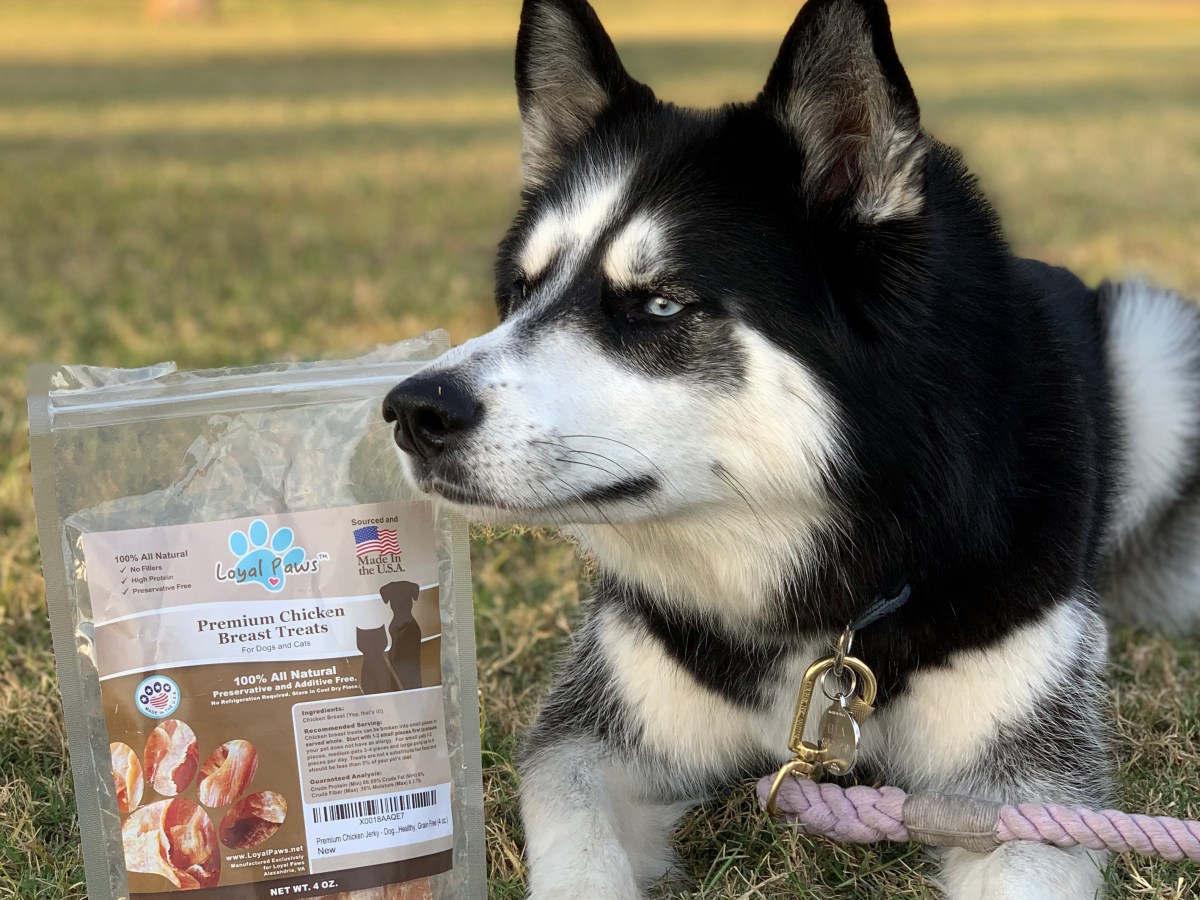 REVIEW: Loyal Paws
