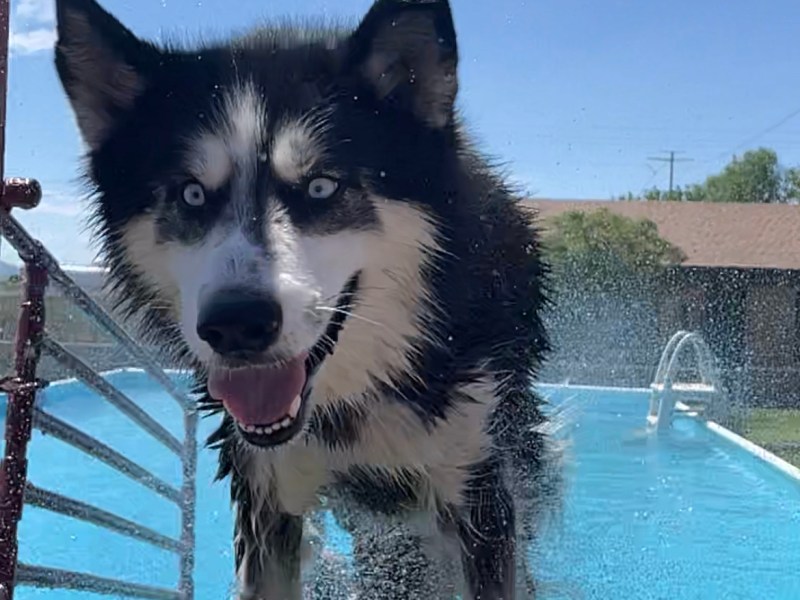 Ella’s first swim lesson&nbsp;💦